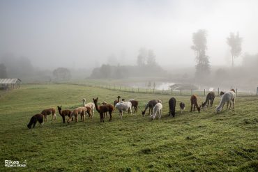 Rudens iesākums